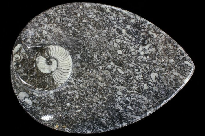 Tear Drop Shaped Fossil Goniatite Dish #73972